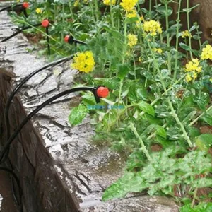 E15D 5pcs Micro Dripper Drip for Head 1/4 Inch Hose Garden Irrigation Misting